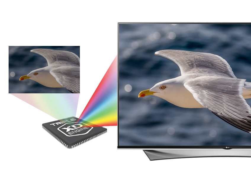 Hiển thị hình ảnh 4K chất lượng với công nghệ Colorprime