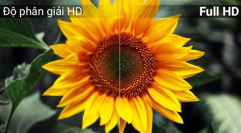 Độ phân giải Full HD trên Internet Tivi Sony 40 inch KDL-40W650D