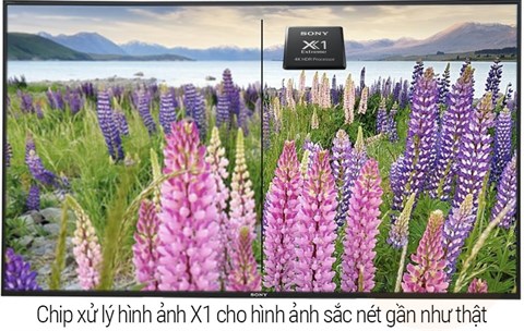 chip xử lý hình ảnh