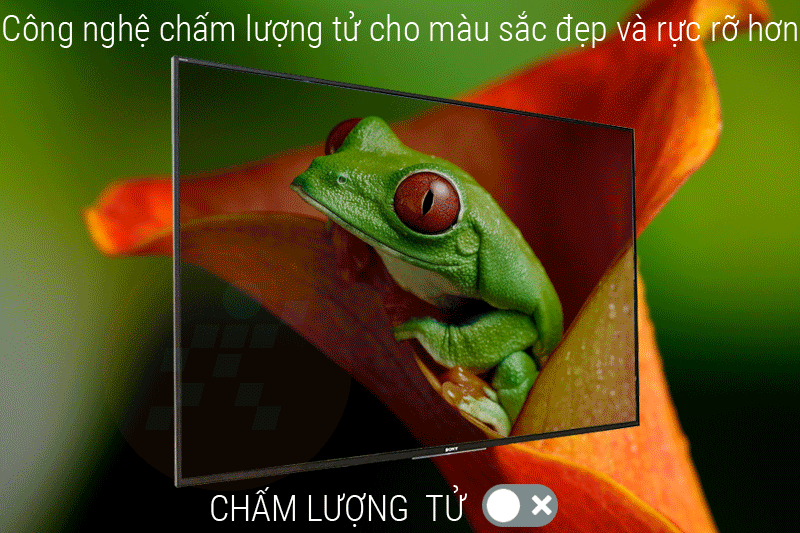 Chấm lượng tử