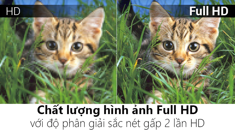 Smart Tivi Panasonic 49 inch TH-49DS630V