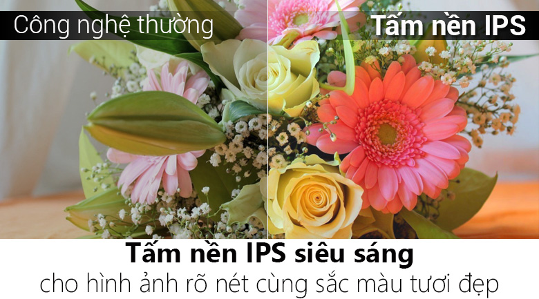 Smart Tivi Panasonic 49 inch TH-49DS630V