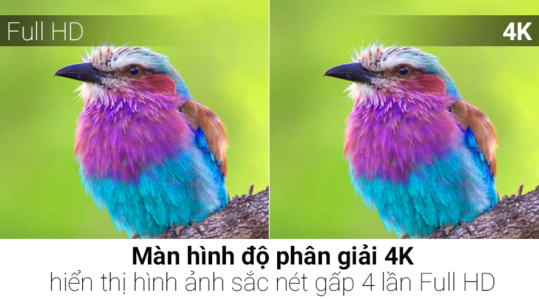 Smart Tivi Cong Samsung 4K 55 inch UA55KS9000