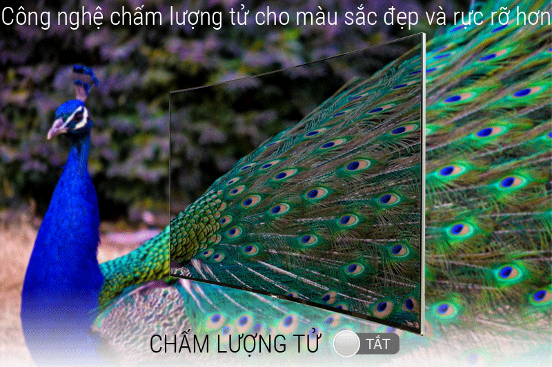 Công nghệ hình ảnh