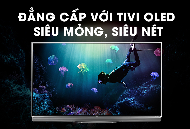 Smart Tivi OLED LG 65 inch OLED65E6T
