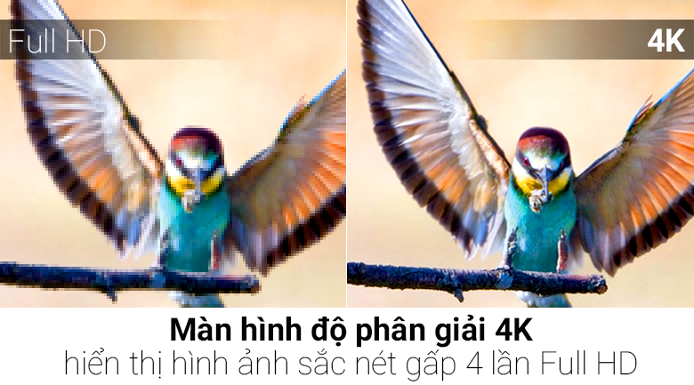 Smart Tivi LG 4K 65 inch 65UH850T