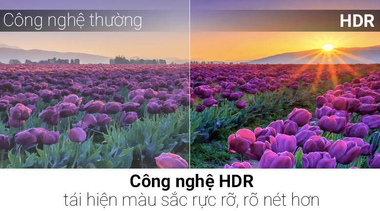 Smart Tivi LG 4K 65 inch 65UH850T