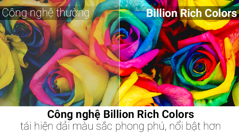 Smart Tivi LG 4K 65 inch 65UH850T