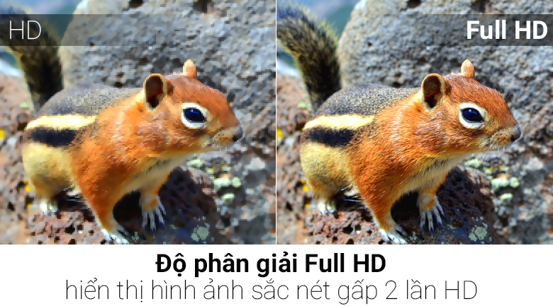 Smart Tivi Cong TCL 48 inch L48P1-CF