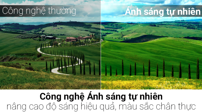 Smart Tivi Cong TCL 48 inch L48P1-CF