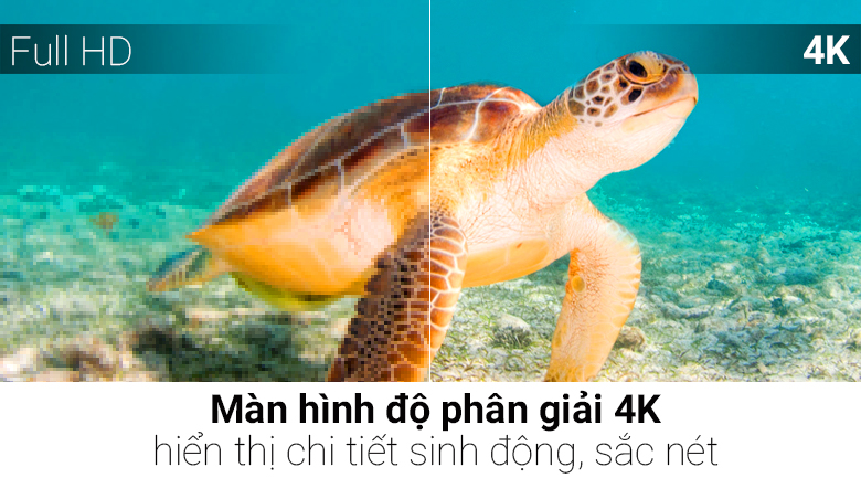 Smart Tivi LG 4K 49 inch 49UH650T