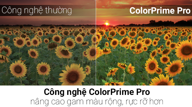 Smart Tivi LG 4K 49 inch 49UH650T