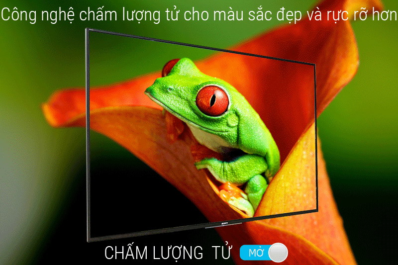 Công nghệ hình ảnh
