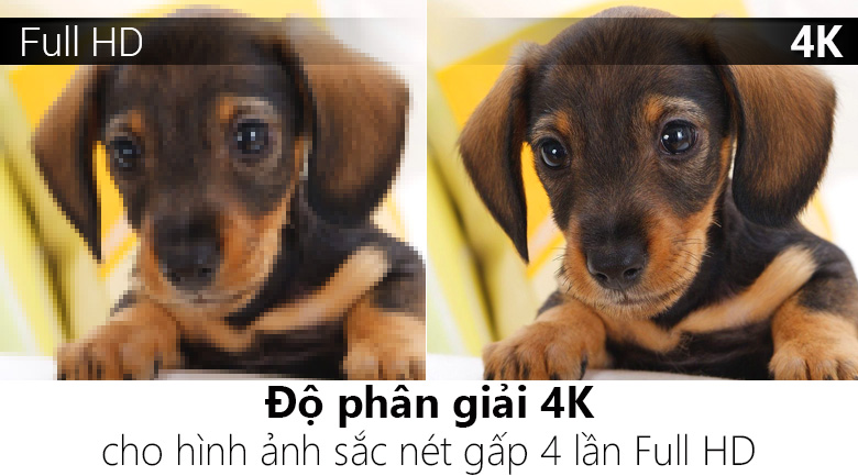 Internet Tivi Panasonic 4K 43 inch TH-43DX400V