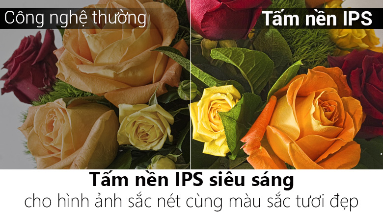 Internet Tivi Panasonic 4K 43 inch TH-43DX400V