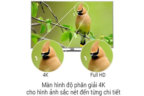 Công nghệ hình ảnh