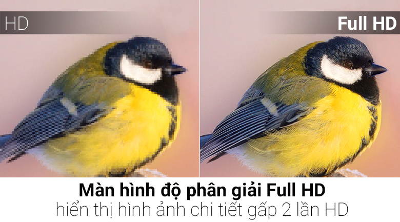 Internet Tivi LG 49 inch 49LH570T