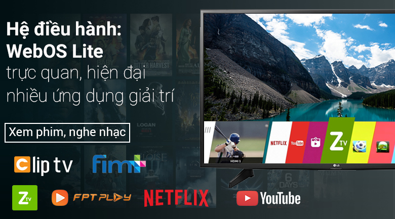 Internet Tivi LG 49 inch 49LH570T