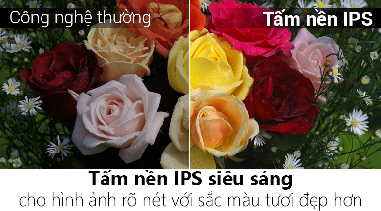 Smart Tivi LG 4K 43 inch 43UH617T