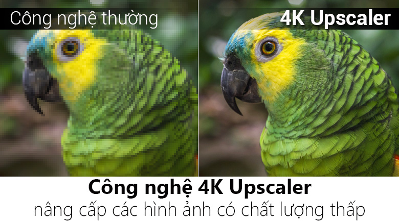 Smart Tivi LG 4K 43 inch 43UH617T