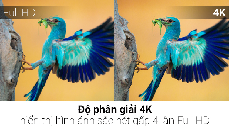 Smart Tivi LG 4K 55 inch 55UH617T