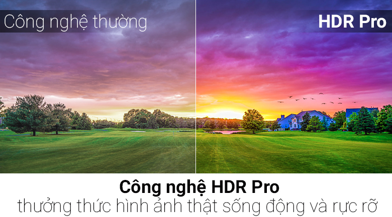 Smart Tivi LG 4K 55 inch 55UH617T