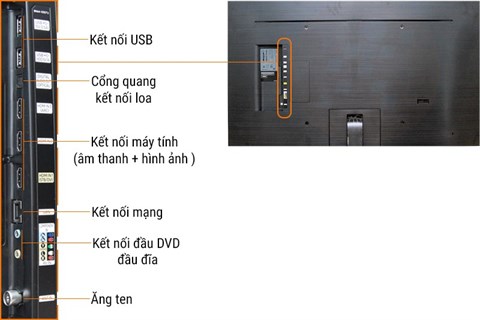 congketnoi