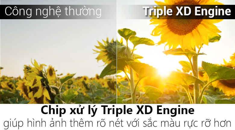 Tivi LG 32 inch 32LH512D