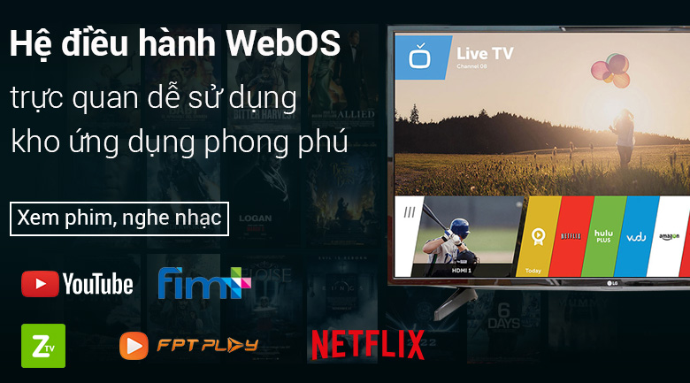 Smart Tivi LG 49 inch 49LH590T