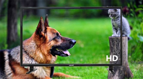 Độ phân giải HD trên Tivi Asanzo 25 inch 25T350