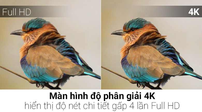 Smart Tivi Panasonic 4K 58 inch TH-58DX700V