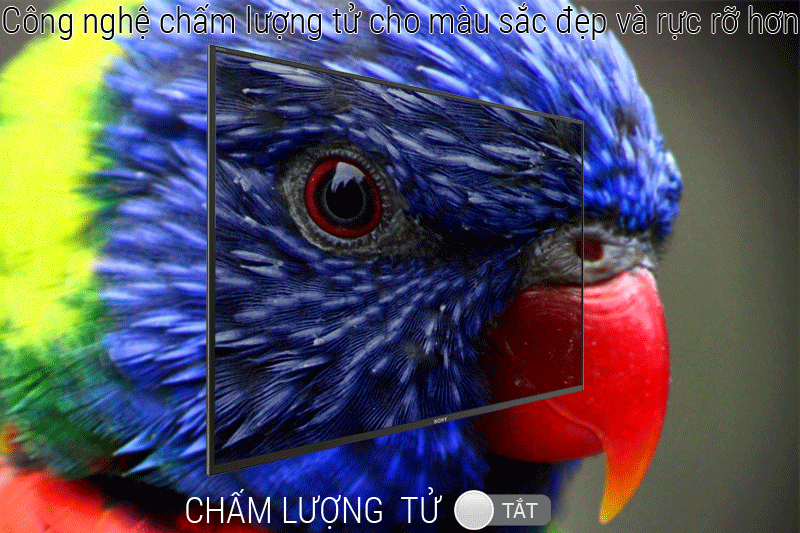 Công nghệ hình ảnh