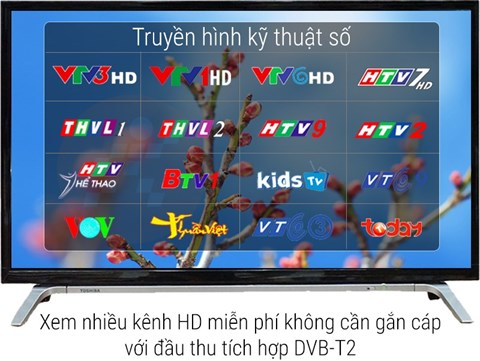 dvb