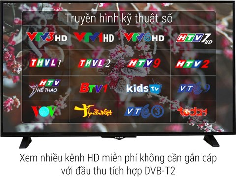 dvb