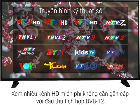 dvb