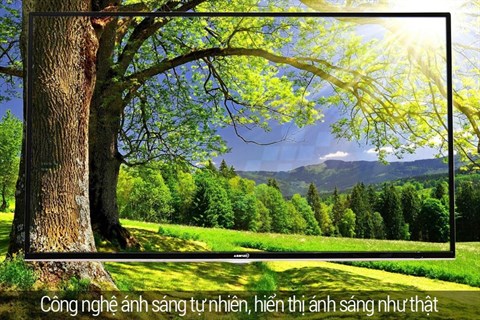 congnghehinhanh
