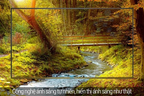 congnghehinhanh