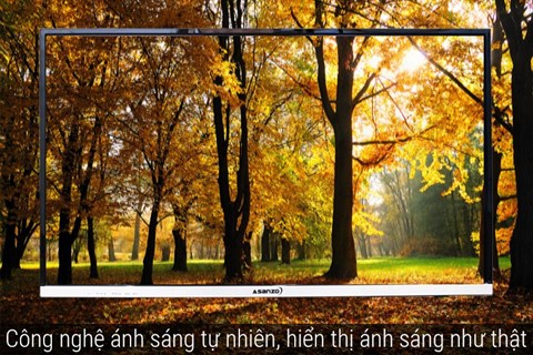 congnghehinhanh