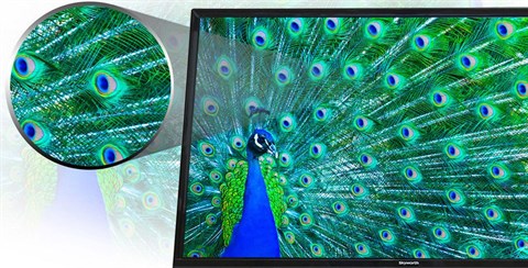 Công nghệ tăng cường màu sắc 10 bit trên Tivi Skyworth 32 inch 32E350