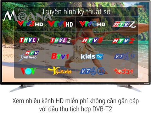 dvb