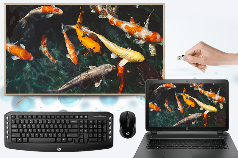 Smart Tivi TCL 43 inch L43Z2 - Kết nối Smart Tivi TCL 43 inch L43Z2 - Kết nối