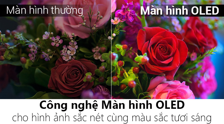 Smart Tivi OLED LG 4K 55 inch 55B6T