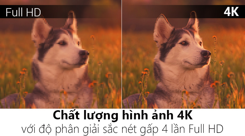 Smart Tivi OLED LG 4K 55 inch 55B6T