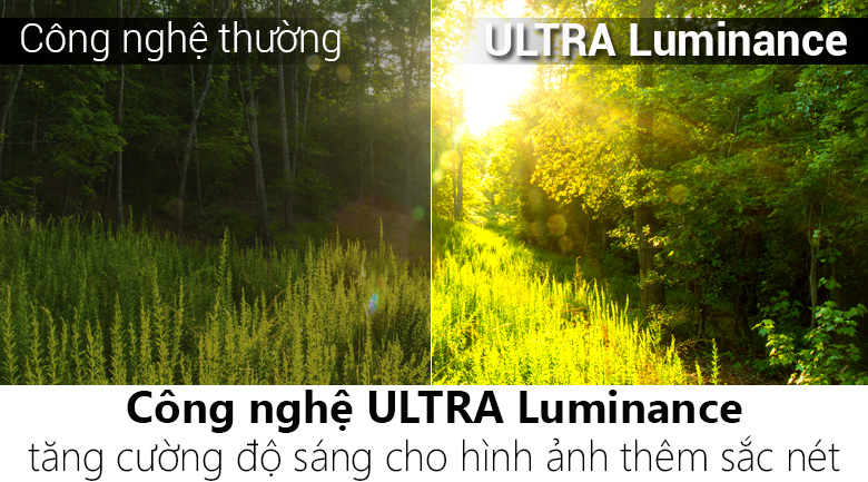 Smart Tivi OLED LG 4K 55 inch 55B6T