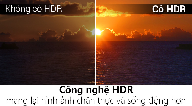 Smart Tivi TCL 4K 49 inch L49Z2