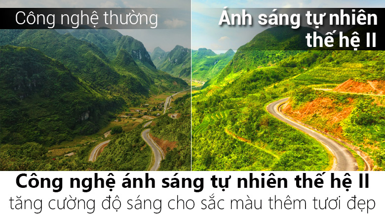 Smart Tivi TCL 4K 49 inch L49Z2