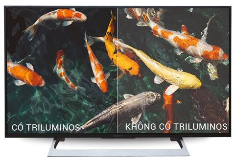 Công nghệ TRILUMINOS Display trên Android tivi Sony 43 inch 43X8000E