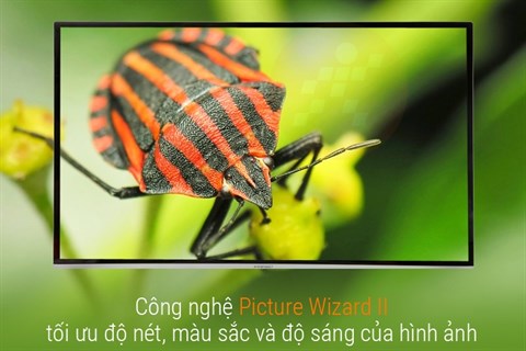 Hình ảnh rõ ràng, sắc nét