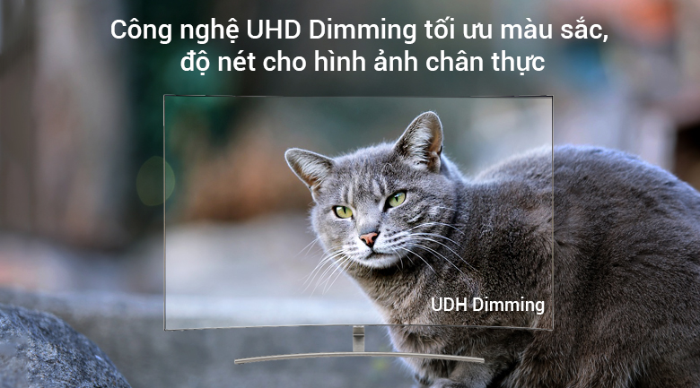 Smart Tivi QLED Samsung 4K 65 inch QA65Q8C