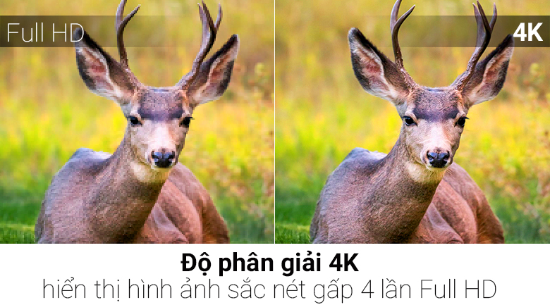 Smart Tivi QLED Samsung 4K 55 inch QA55Q8C